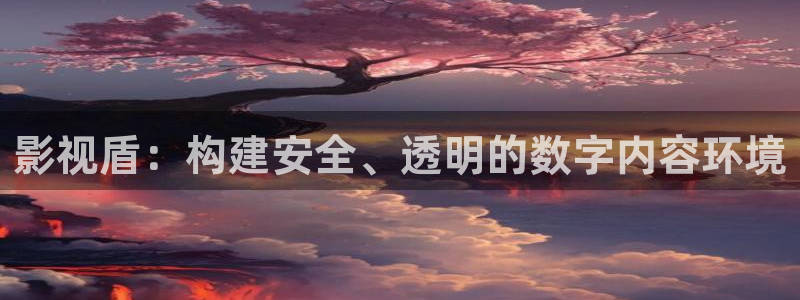 三生有幸遇见你星辰影院：影视盾：构建安全、透明的数字内容环境