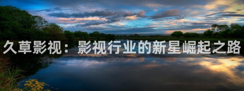 遇见王沥川在线看免费星辰影院：久草影视：影视行业的新星崛起之路