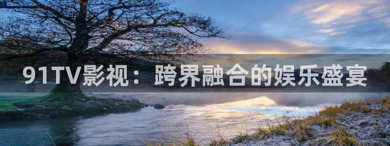 我的小确幸免费观看星辰影视：91TV影视：跨界融合的娱乐盛宴