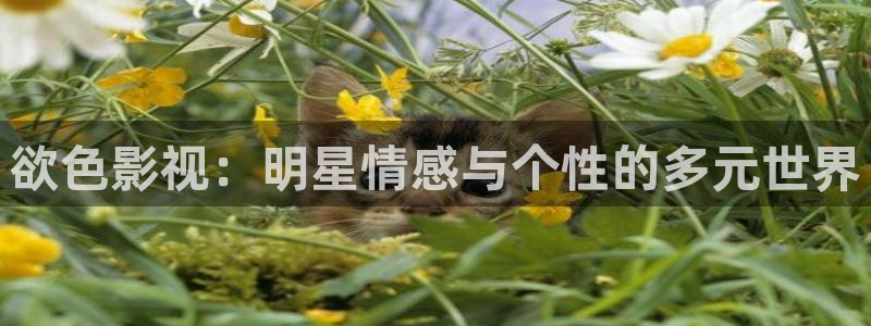 海贼王在线观看免费全集星辰影视：欲色影视：明星情感与个性的多元世界
