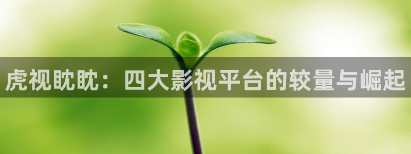 网剧《冬至》星辰影院：虎视眈眈：四大影视平台的较量与崛起