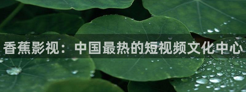 这是我的西游综艺星辰影院免费观看：香蕉影视：中国最热的短视频文化中心