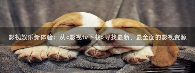 星辰影院三级电影：影视娱乐新体验：从<影视tv下载>寻找最新、最全面的影视资源