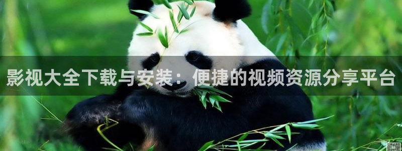 电视剧星辰大海40集免费观看高清：影视大全下载与安装：便捷的视频资源分享平台